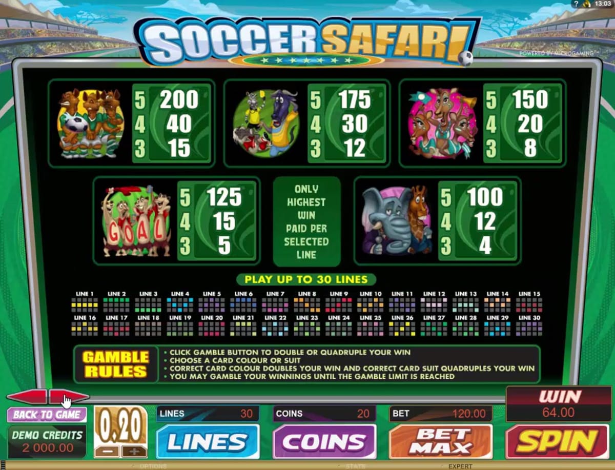 Soccer Safari