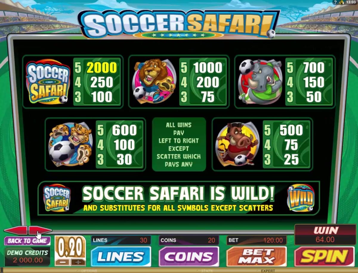 Soccer Safari