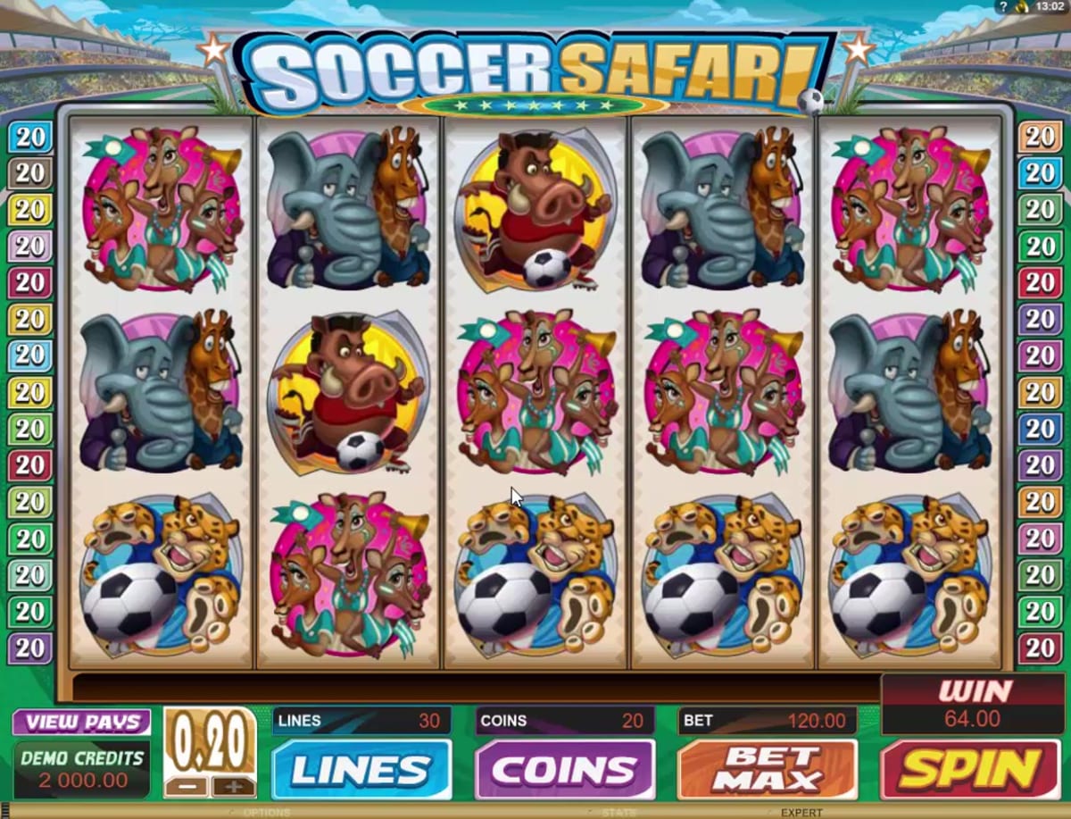 Soccer Safari